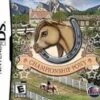 NINTENDO NDS Championship Pony